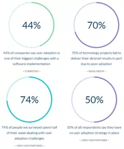 Adoption Stats