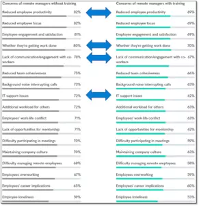 Chart for Remote working concerns